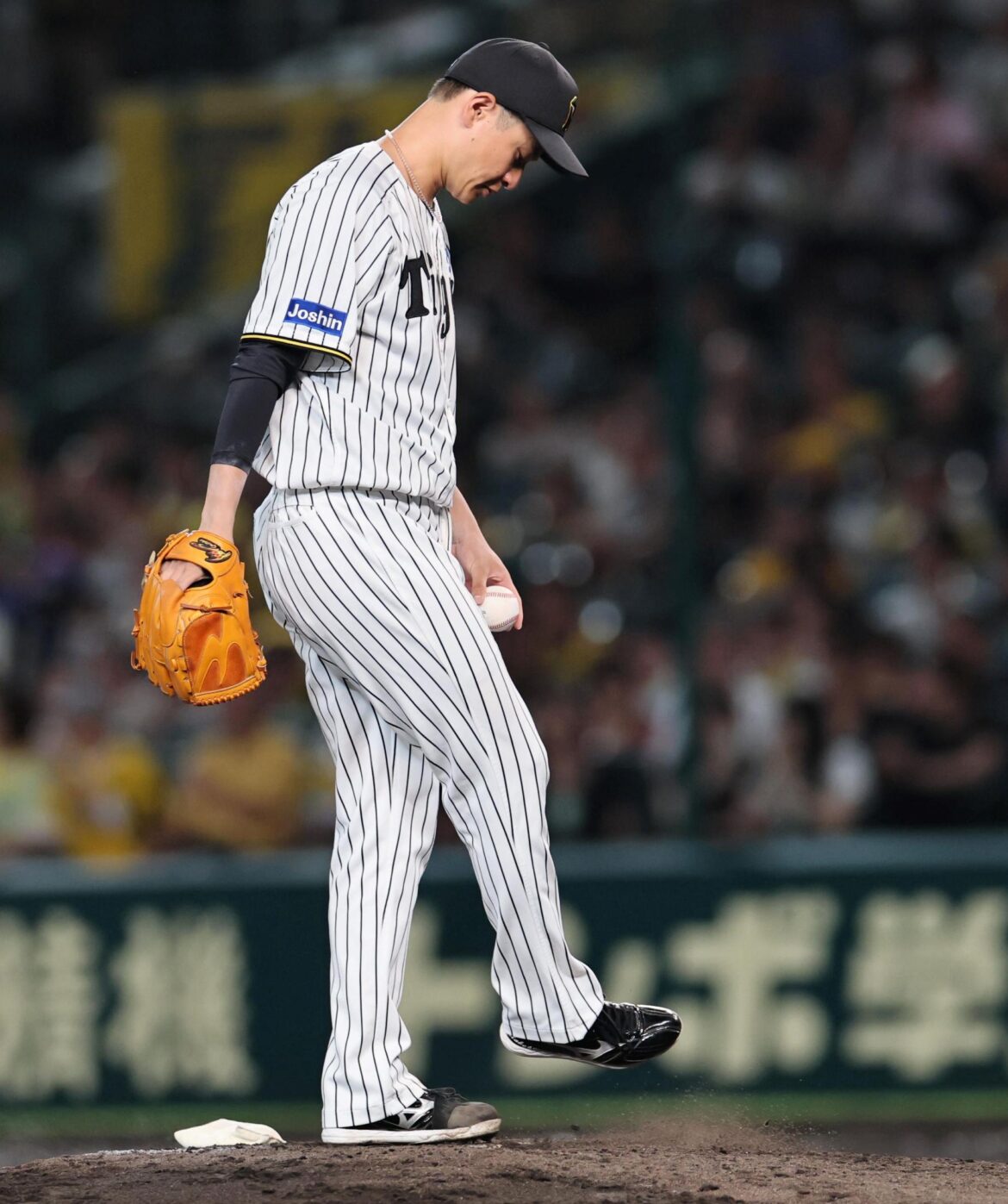 阪神-DeNA戦で異例の光景 山本祐大のハッピーバースデーを阪神ファンも祝福→球場全体で盛り上がる「幸せな場所にいるんだなと思いました」(デイリースポーツ) – Yahoo!ニュース – Yahoo!ニュース 阪神-DeNA戦で異例の光景 山本祐大のハッピーバースデーを阪神ファンも祝福→球場全体で盛り上がる「幸せな場所にいるんだなと思いました」(デイリースポーツ) - Yahoo!ニュース - Yahoo!ニュース