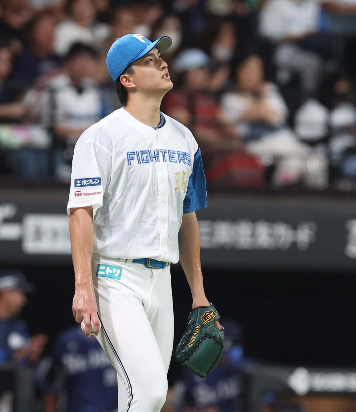 【日本ハム】「負けたらほぼ終わり」…達孝太７回６安打２失点踏ん張るも、８回に救援陣打たれる（日刊スポーツ） - Yahoo!ニュース - Yahoo!ニュース