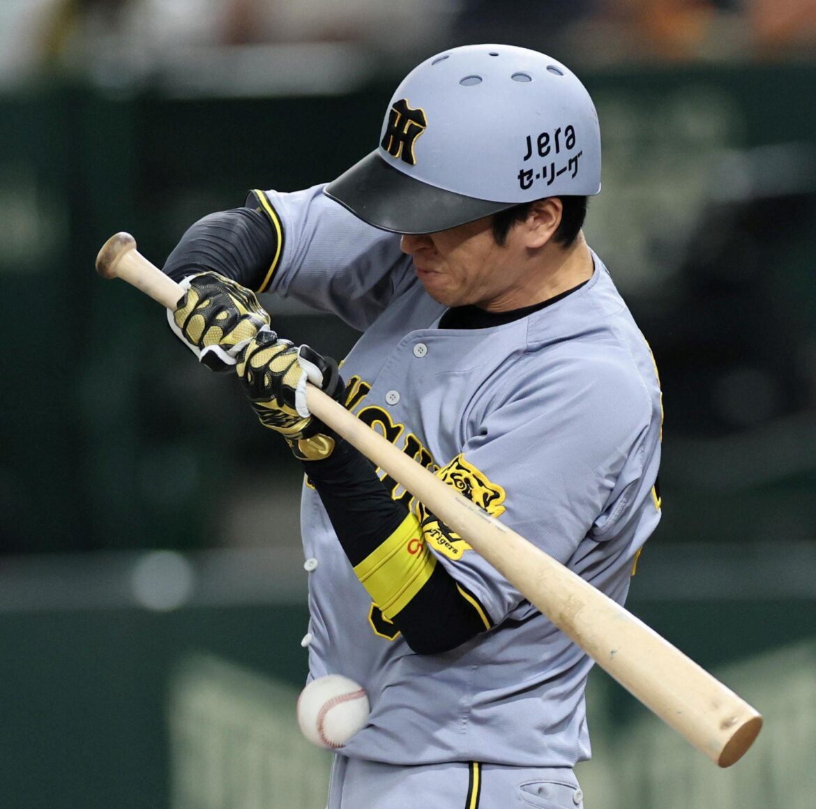 阪神 近本光司が「病院は行きました」も「大丈夫です」前日の巨人戦で左腕に死球 途中交代も大事には至らず（デイリースポーツ） - Yahoo!ニュース - Yahoo!ニュース