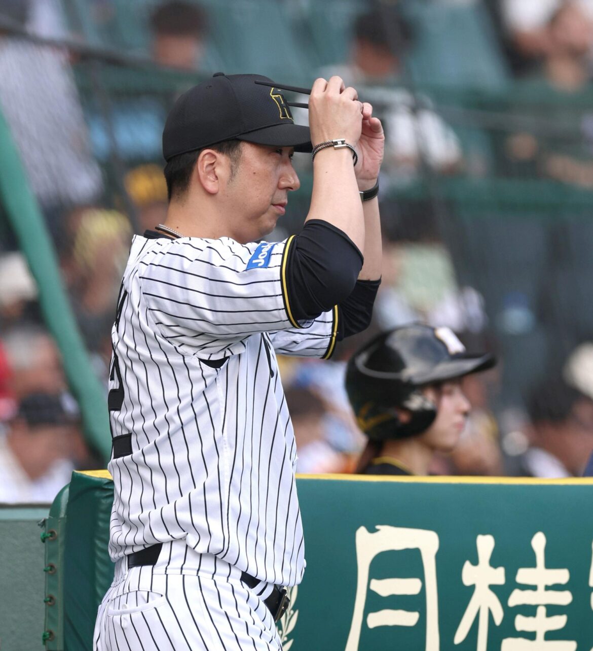 阪神「見極めの試合でやや物足りなかったアピール」流動的の遊撃と左翼－藤田平氏の評論（デイリースポーツ） - Yahoo!ニュース - Yahoo!ニュース