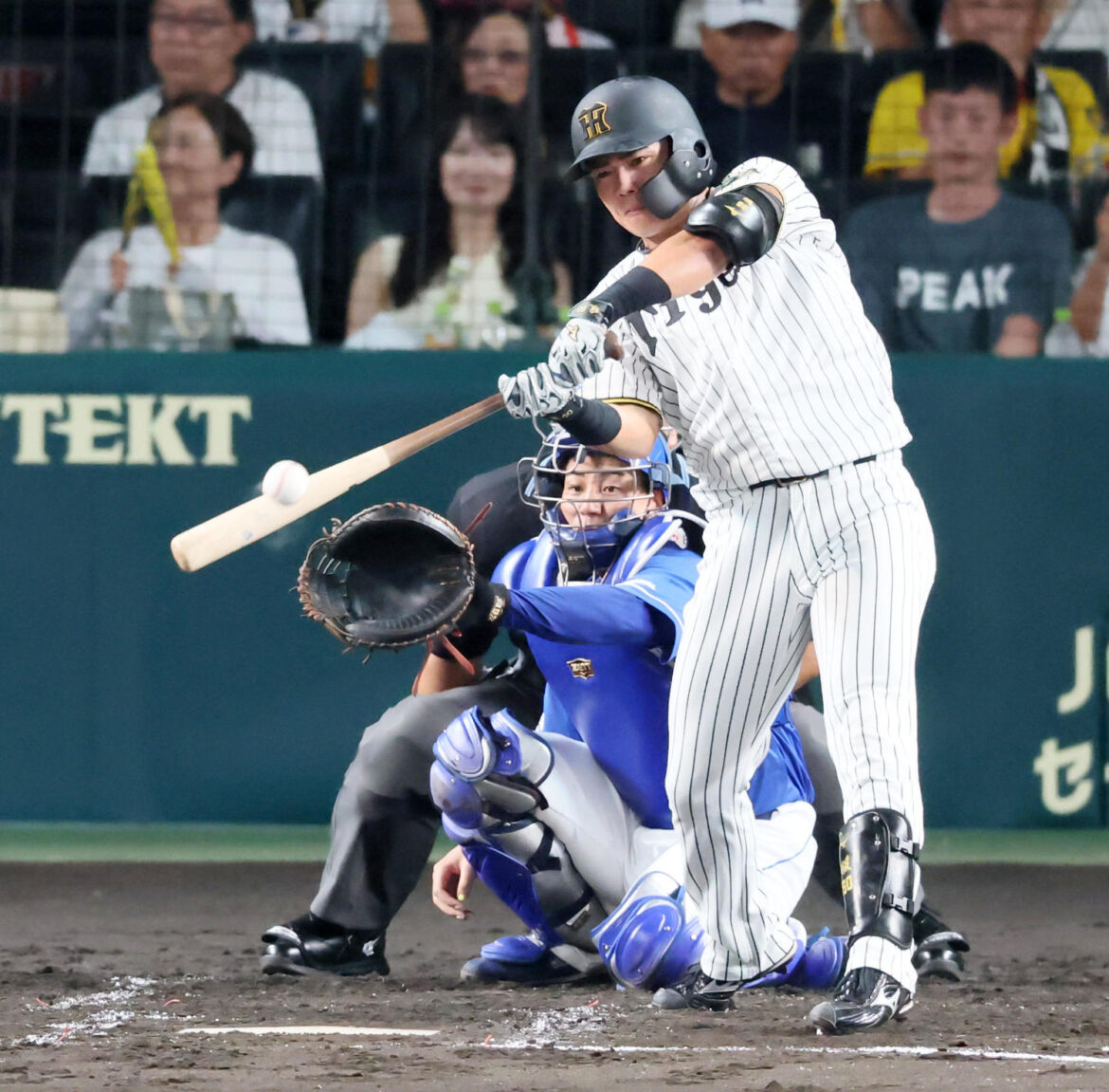 【虎になれ】”消化試合”に無縁の顔ぶれも多くいる阪神 激しい生き残りが展開（日刊スポーツ） - Yahoo!ニュース - Yahoo!ニュース