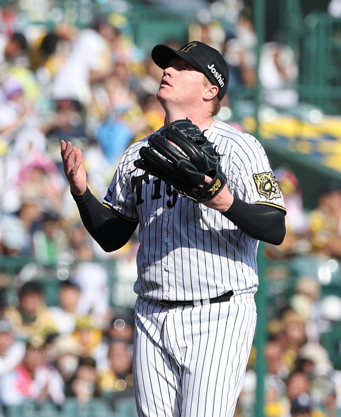 【阪神】５回１失点ネルソンに藤川監督「少しずつ板に」CSへは「含みを持たせてもらいたい」（日刊スポーツ） - Yahoo!ニュース - Yahoo!ニュース