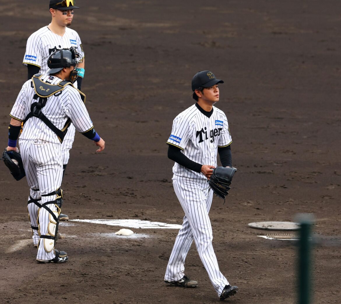 CSに向けた阪神の『手の内隠し』、阪神OBが指摘(デイリースポーツ) – Yahoo!ニュース CSに向けた阪神の『手の内隠し』、阪神OBが指摘(デイリースポーツ) - Yahoo!ニュース