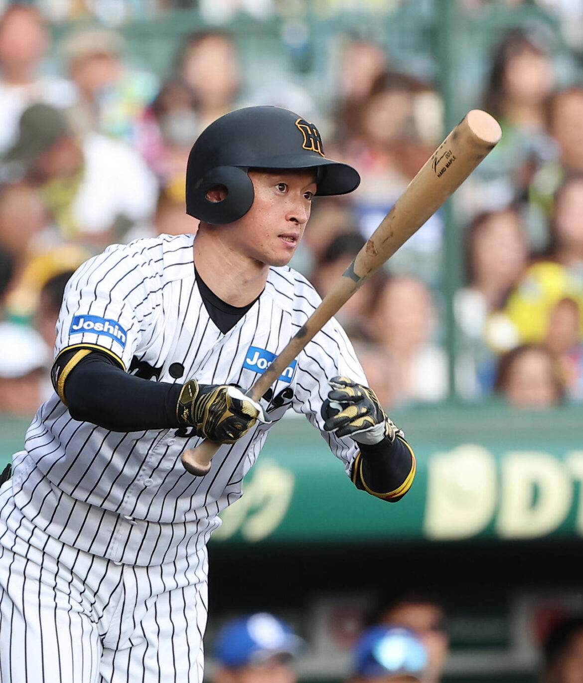 【阪神】猛打賞の近本光司「うまく反応できた」最多安打争いへ１差猛追！盗塁王と“２冠”狙える（日刊スポーツ） - Yahoo!ニュース - Yahoo!ニュース