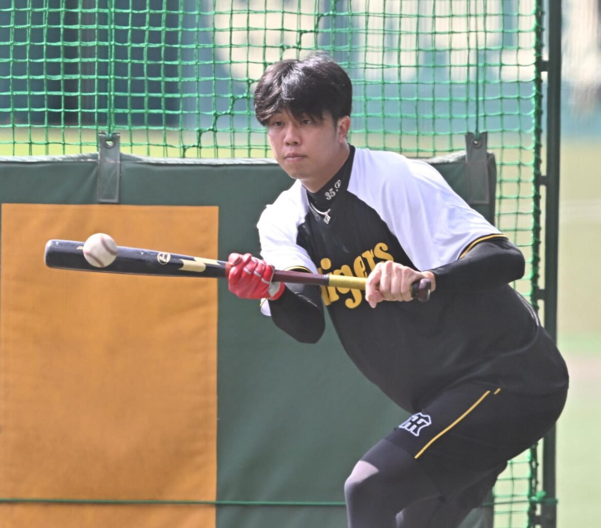 阪神・才木 初タイトル確定！最優秀防御率１・５５で終了 村上の最高勝率とＷタイトルなら球団日本選手６３年ぶり（デイリースポーツ） - Yahoo!ニュース - Yahoo!ニュース