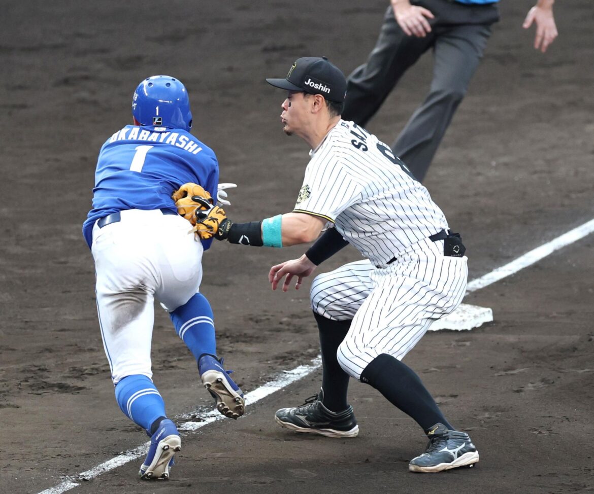 阪神・坂本の神プレーに甲子園大歓声 SNSも沸く「送球ドンピシャ」「視野が広い」「動きキレッキレ」(デイリースポーツ) – Yahoo!ニュース – Yahoo!ニュース 阪神・坂本の神プレーに甲子園大歓声 SNSも沸く「送球ドンピシャ」「視野が広い」「動きキレッキレ」(デイリースポーツ) - Yahoo!ニュース - Yahoo!ニュース