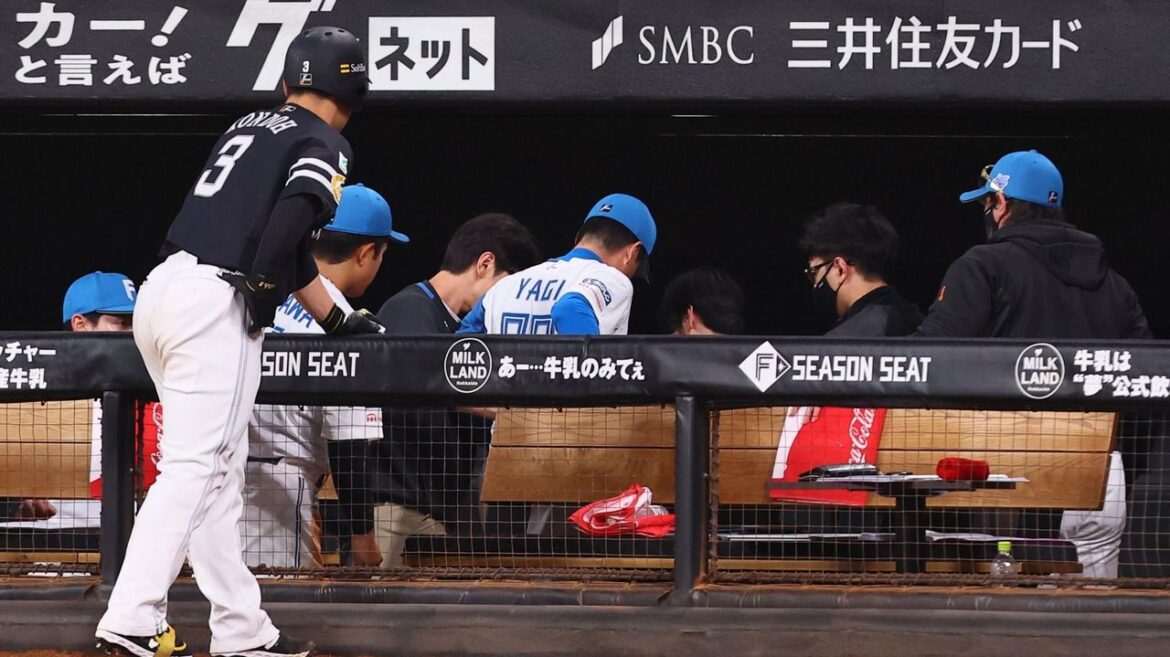 バット頭直撃 日ハムコーチ検査へ - Yahoo!ニュース