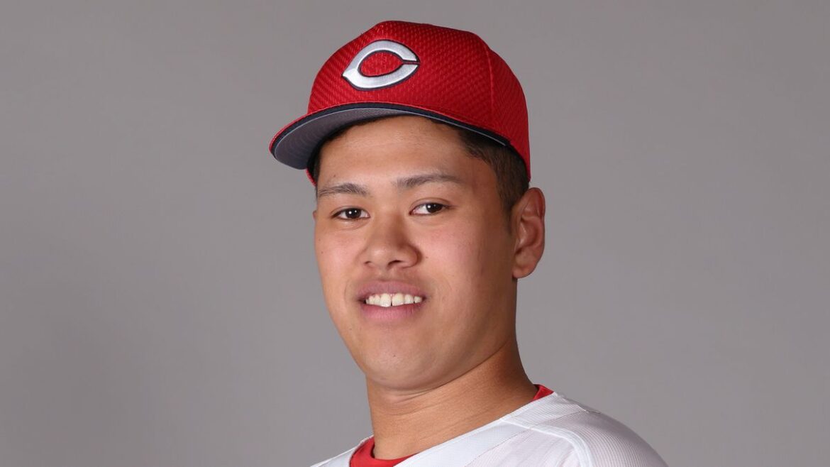 日本テレビ放送網