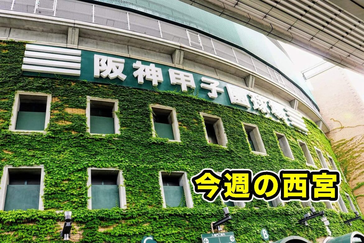 ガーデンズにカービィ行列できてたり阪神タイガースが優勝したり【今週の西宮】 | 西宮つーしん