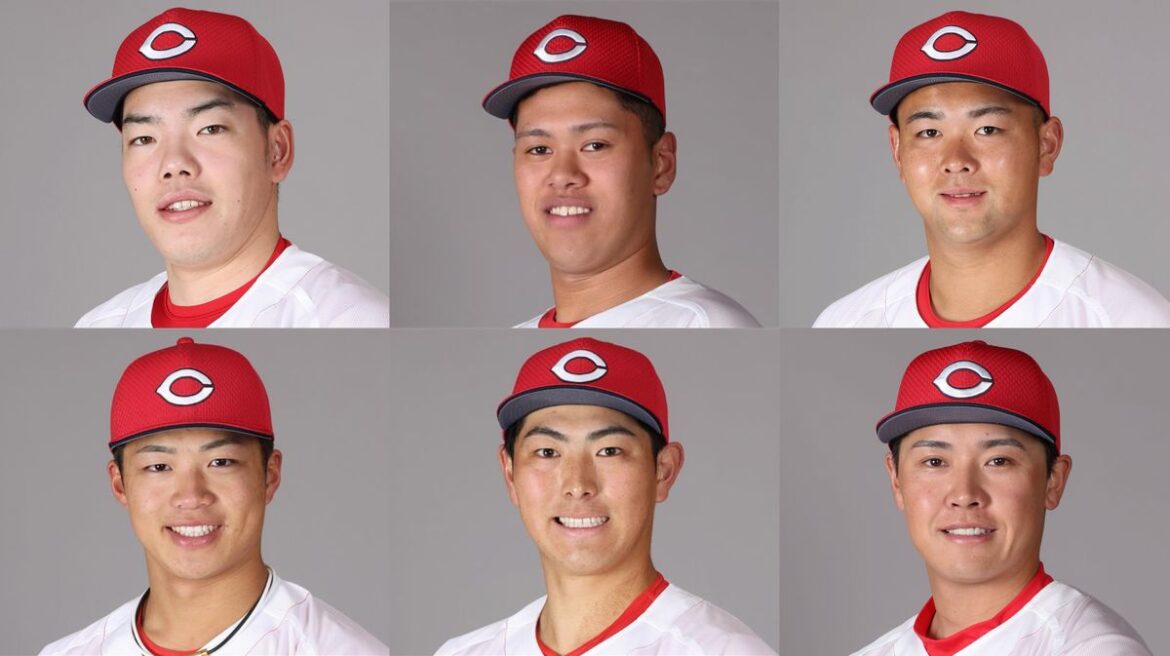 日本テレビ放送網