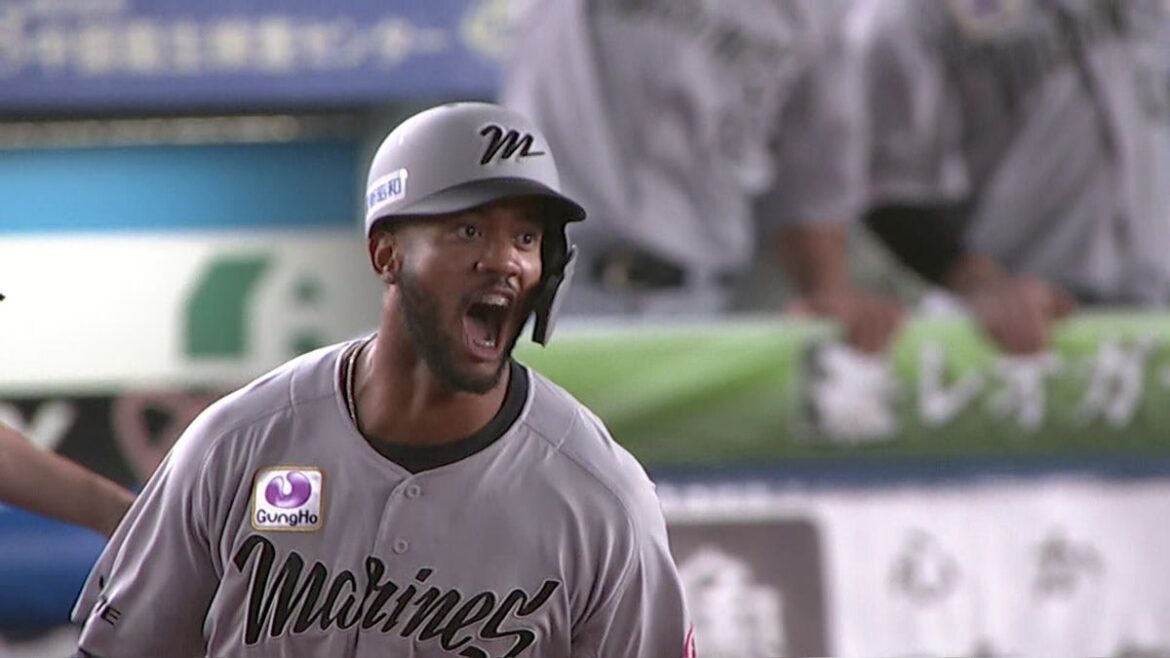 日本テレビ放送網