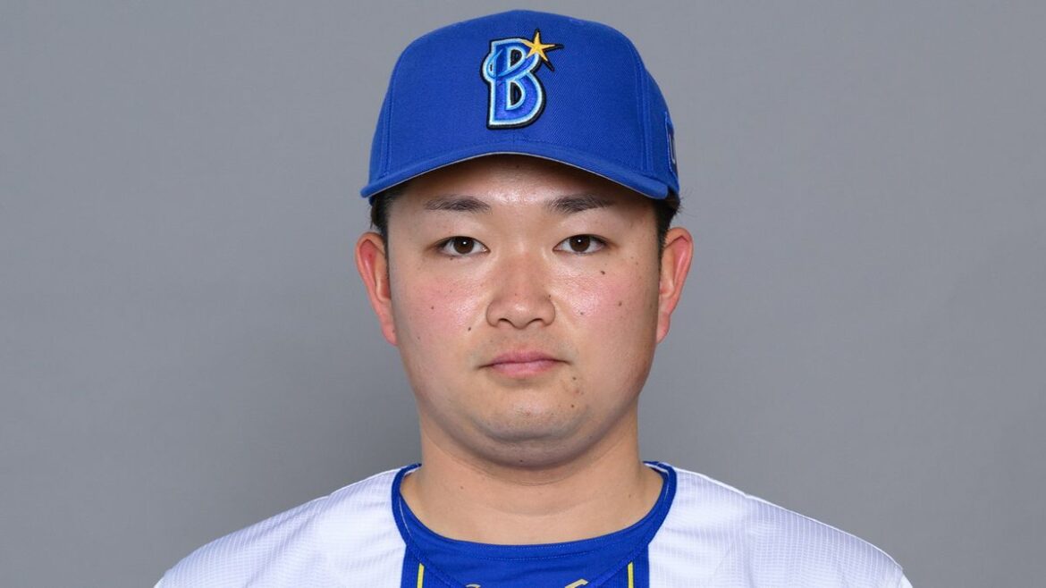 日本テレビ放送網