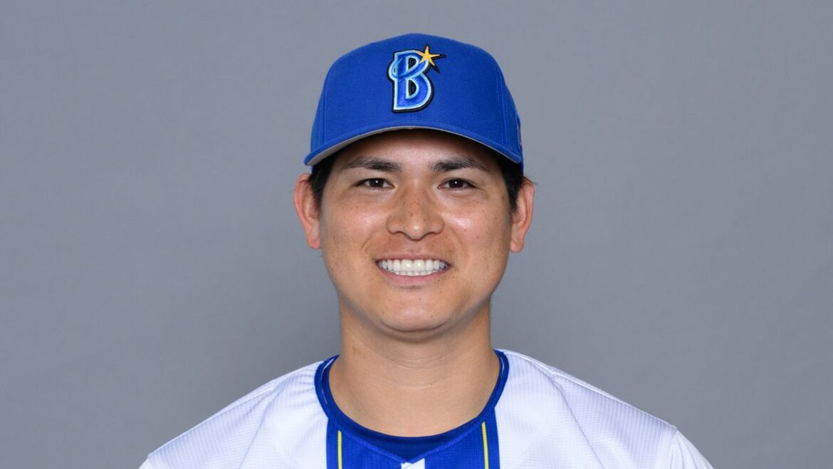 日本テレビ放送網