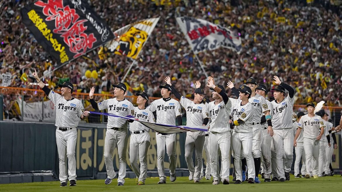 阪神タイガース優勝 過去Vとの共通点と違いをデータで検証 – 日本経済新聞 阪神タイガース優勝 過去Vとの共通点と違いをデータで検証 - 日本経済新聞