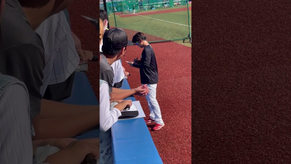 柿沼友哉　サイン風景