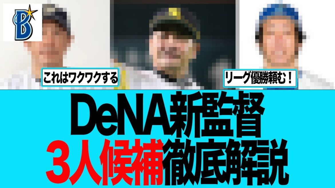 【DeNA】DeNAの新監督  3人候補徹底解説　ベイスターズファンの反応集