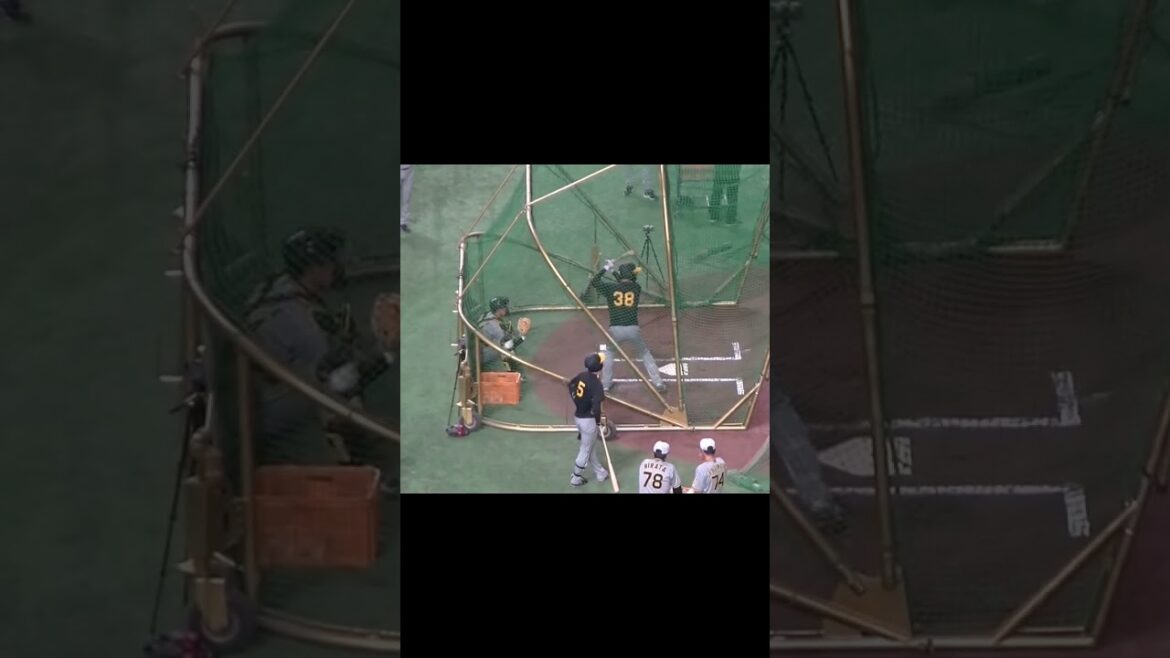 タイガース小幡竜平のフリーバッティング（2024年7月16日読売ジャイアンツ対 阪神タイガース）