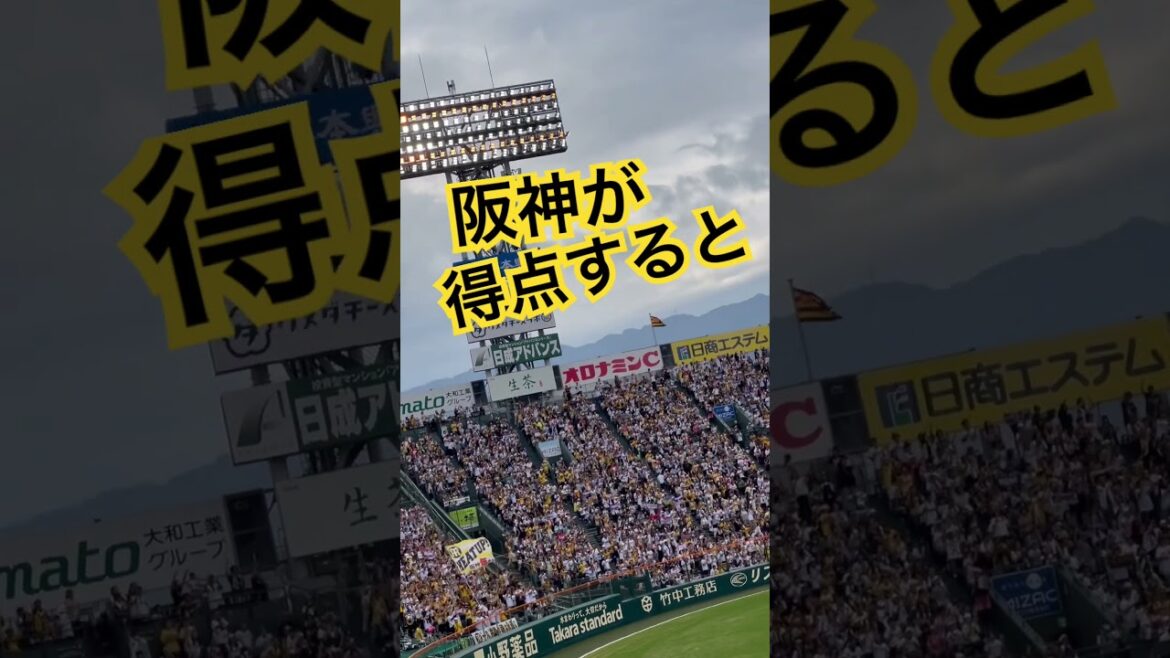 # #甲子園 #阪神タイガース #阪神応援 #阪神応援歌 #hanshintigers #六甲おろし
