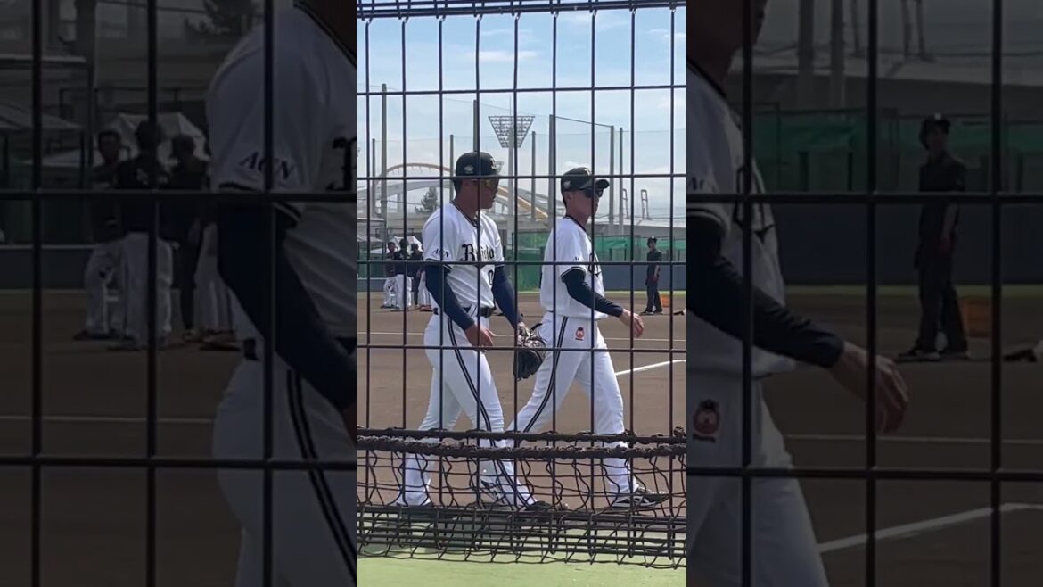 【オリックス】舞洲 オリックスバファローズ