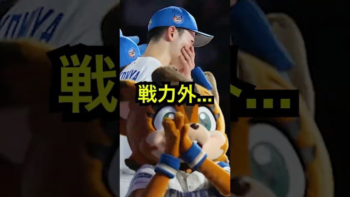 日ハム“去就リスト”始動──堀・梅林・松本・清水・ザバラ【30秒予告】#日本ハム #日ハム #ファイターズ