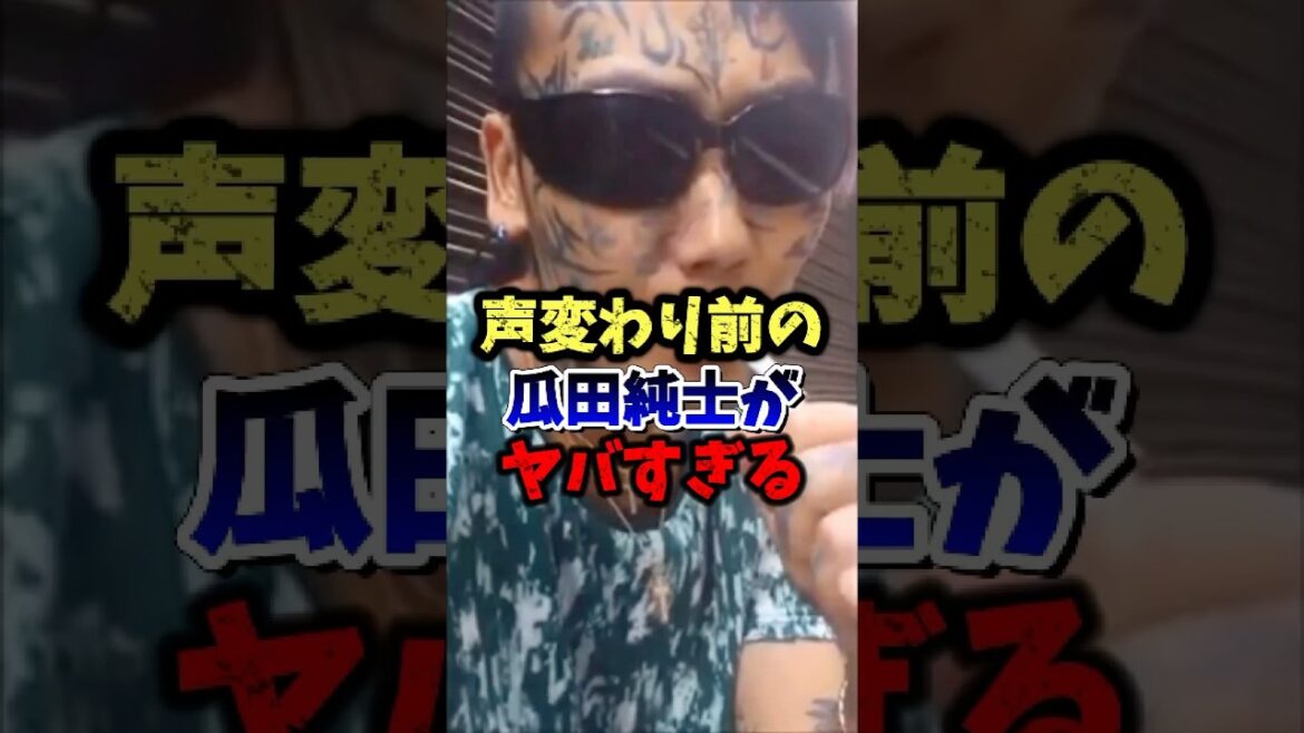 声変わり前の瓜田純士がヤバすぎる。#ブレイキングダウン #rizin #瓜田純士