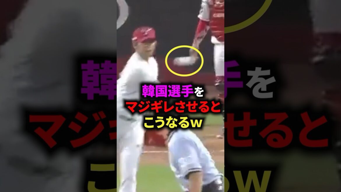 😤100万再生突破！韓国選手をマジギレさせると こうなるw #野球