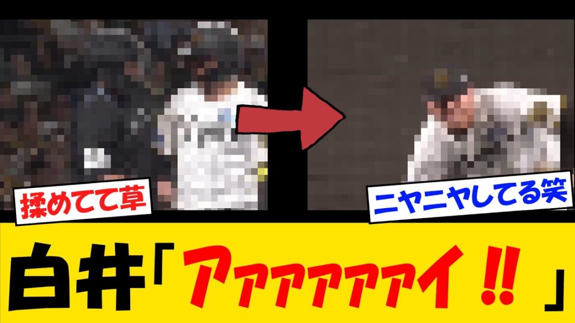 【にやり】白井球審「ｱｧｧｧｧｧｲ‼」森下「ふぁっっ⁉」村上「😏」【野球情報】【2ch 5ch】【なんJ なんG反応】【野球スレ】
