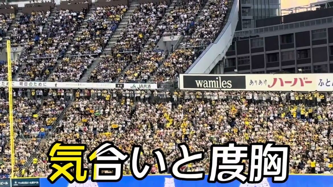 【阪神タイガース】小野寺暖 選手応援歌