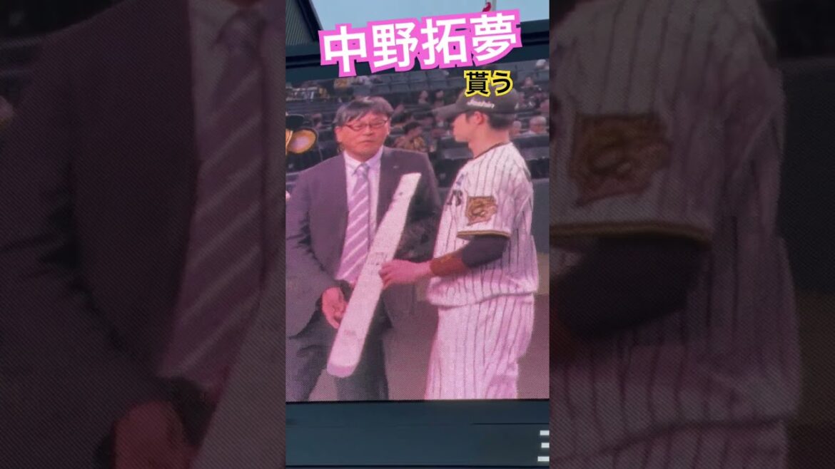 #tigers #中野拓夢 #応援歌 #阪神タイガース #hanshintigers #阪神 #阪神応援 #球場ビジョン#阪神甲子園球場 #猛虎 #hanshin #アレ