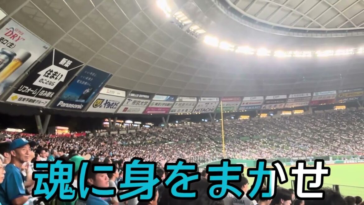 【北海道日本ハムファイターズ】矢澤宏太 選手応援歌