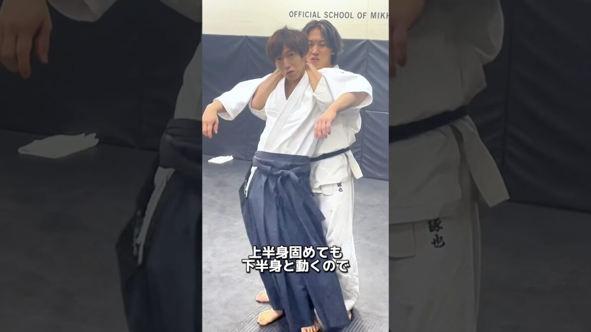 離せ。 合気道 #白川竜次 #天水さん