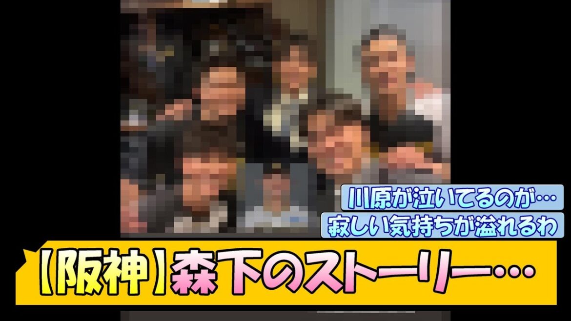 【阪神】森下のストーリーが泣ける件…