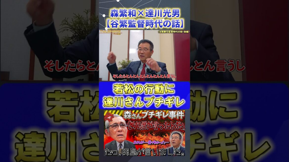 【森×達川】谷繁兼任監督時代『達川さんが若松にキレる』#森繁和 #達川光男 #谷繁元信 #プロ野球ニュース #shorts