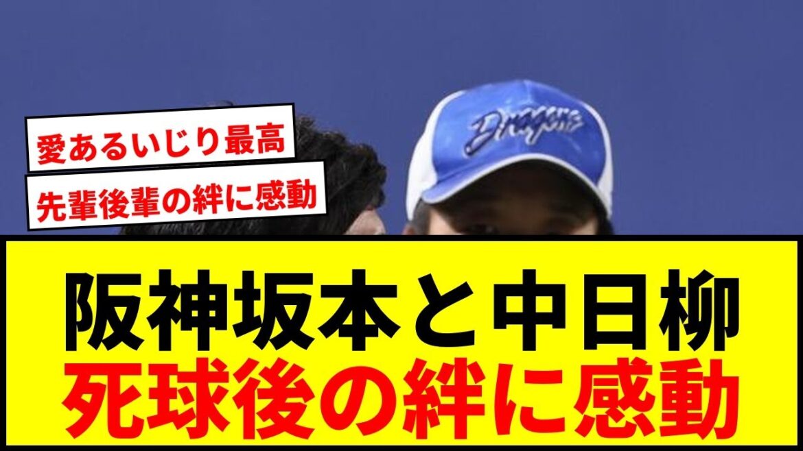 【衝撃】阪神坂本と中日柳の死球後の独特やり取り!明大先輩後輩の絆にファン感動 【衝撃】阪神坂本と中日柳の死球後の独特やり取り!明大先輩後輩の絆にファン感動
