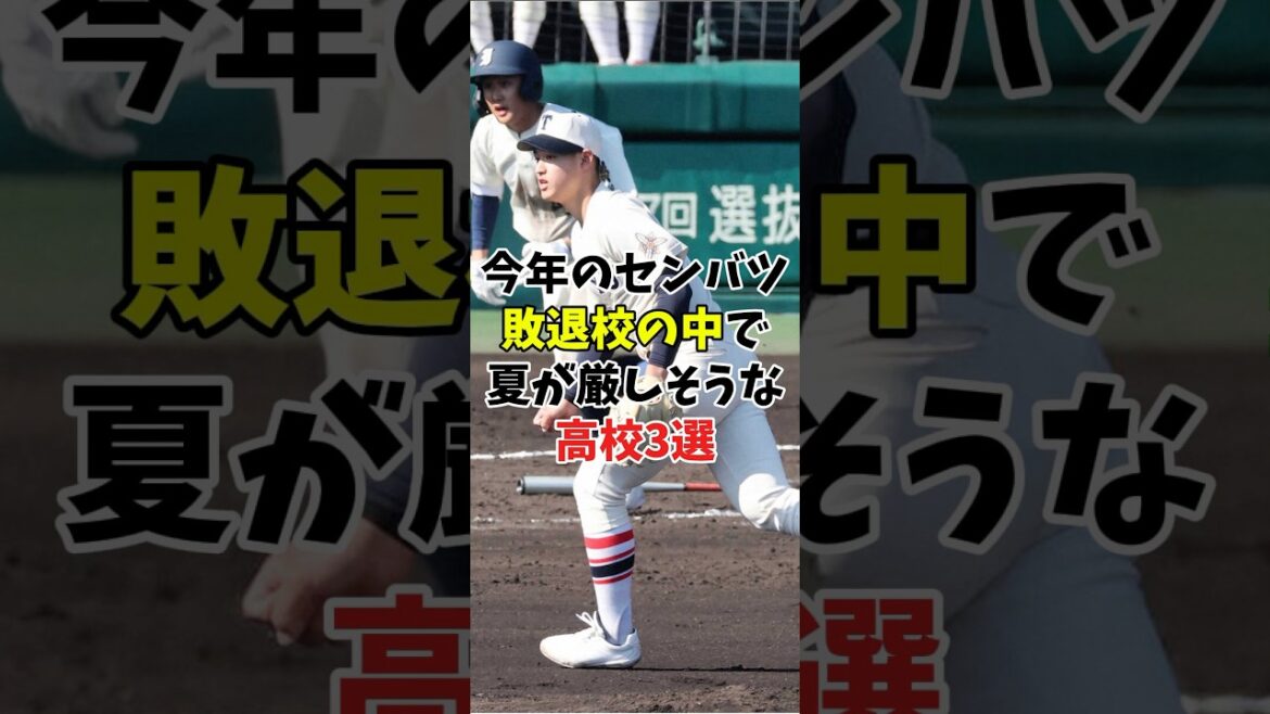 【夏の甲子園】東洋大姫路やエナジックスポーツは春夏連続で甲子園出場が厳しすぎる件【2025】