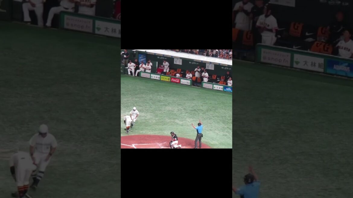 立岡宗一郎のフォアボールと喜ぶ巨人ベンチ＜読売ジャイアンツ対 福岡ソフトバンクホークス2024年5月30日＞