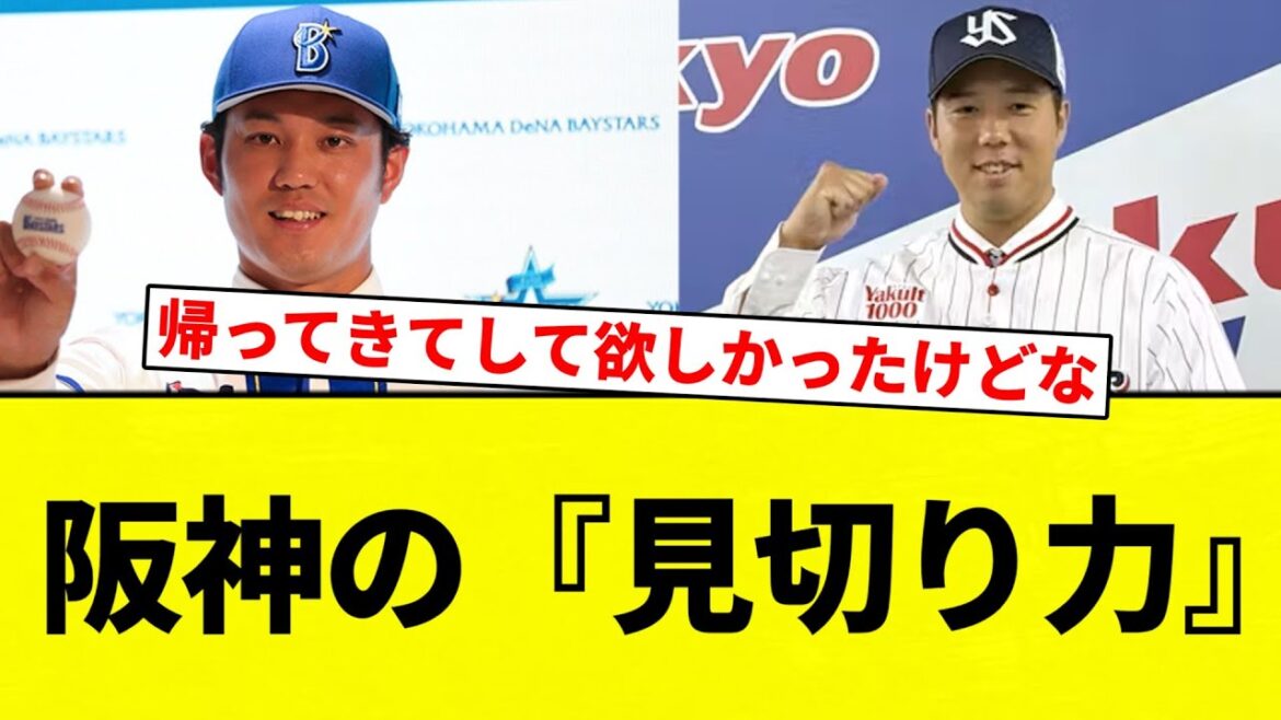 【よーやっとる】阪神の『見切り力』【プロ野球反応集】【2chスレ】【なんG】