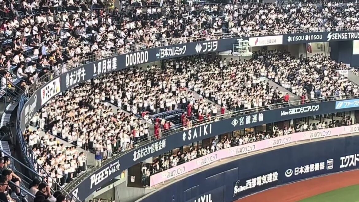 【惜別！佐野 皓大 応援歌】オリックスバファローズ  ホーム最終戦  ライトスタンド（2025.10.2 オリックスバファローズvs埼玉西武ライオンズ ）