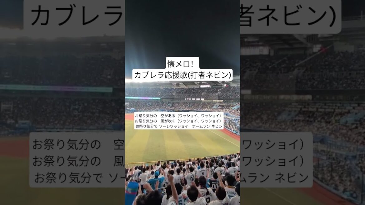 埼玉西武ライオンズカブレラ応援歌(ネビンチャンスver) 埼玉西武ライオンズカブレラ応援歌(ネビンチャンスver)