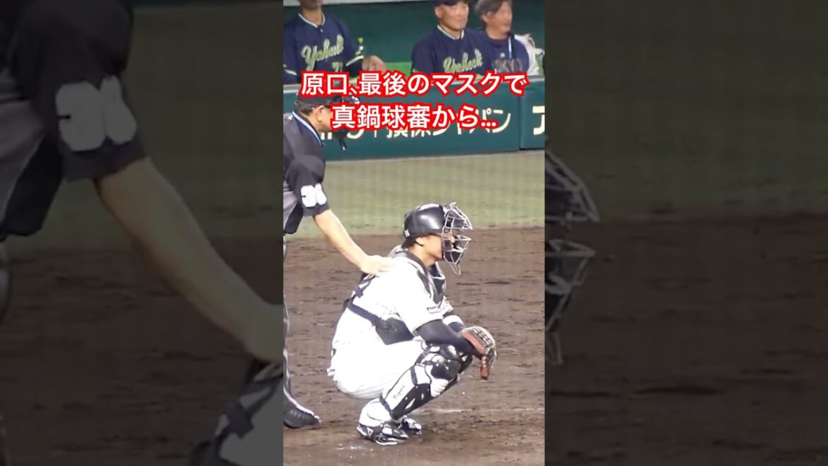 原口の引退試合でこれは泣ける。 #阪神タイガース #原口 #引退試合 #shorts