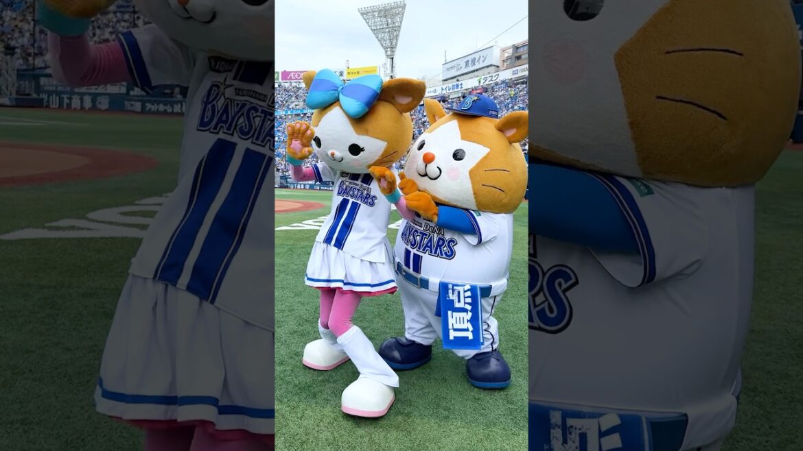 かまって〜かまって〜〜🐹🌟