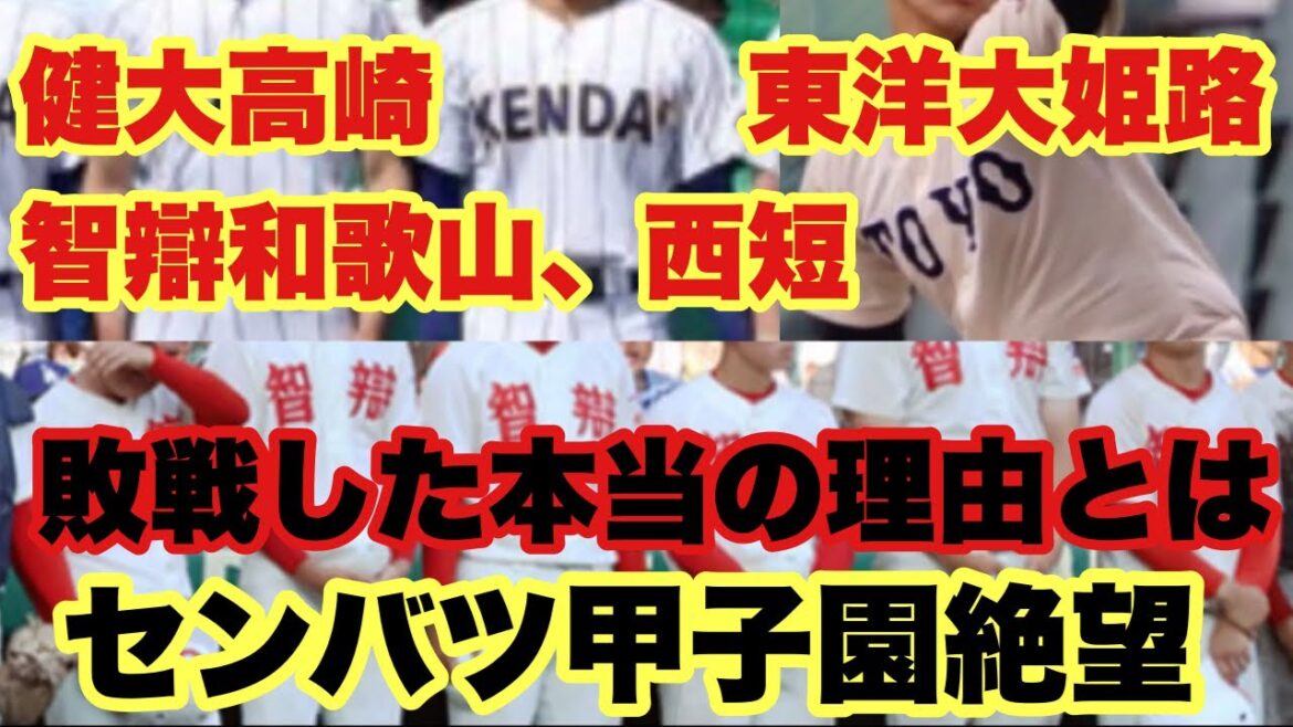 【高校野球】選抜絶望した高校の"共通点"解説❗️智辯和歌山、健大高崎、東洋大姫路、西短