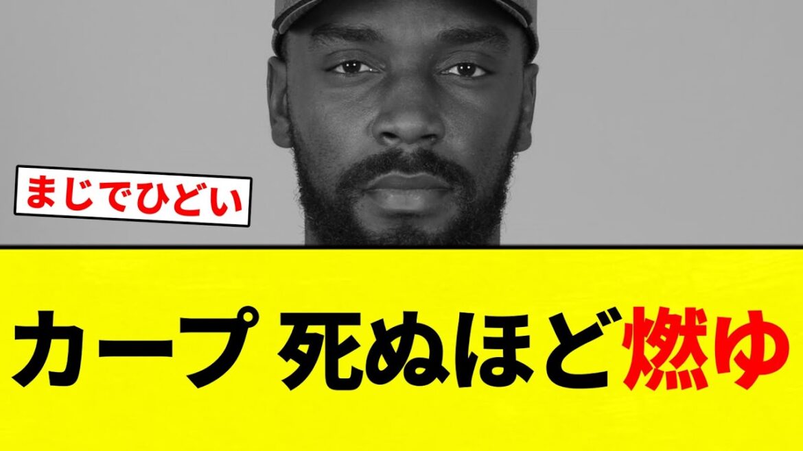 【もう終わりだよ】カープ 死ぬほど燃ゆ【プロ野球反応集】【2chスレ】【なんG】