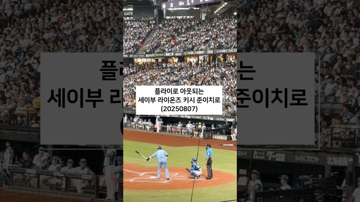 埼玉西武ライオンズ　岸潤一郎　フライアウト