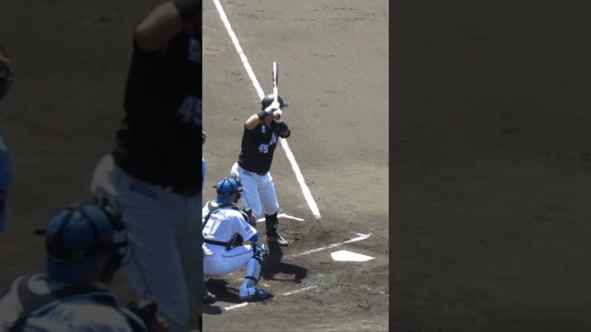 【マリーンズ】植田将太の打撃フォーム2024年6月5日 日本ハムファイターズ対 千葉ロッテマリーンズ
