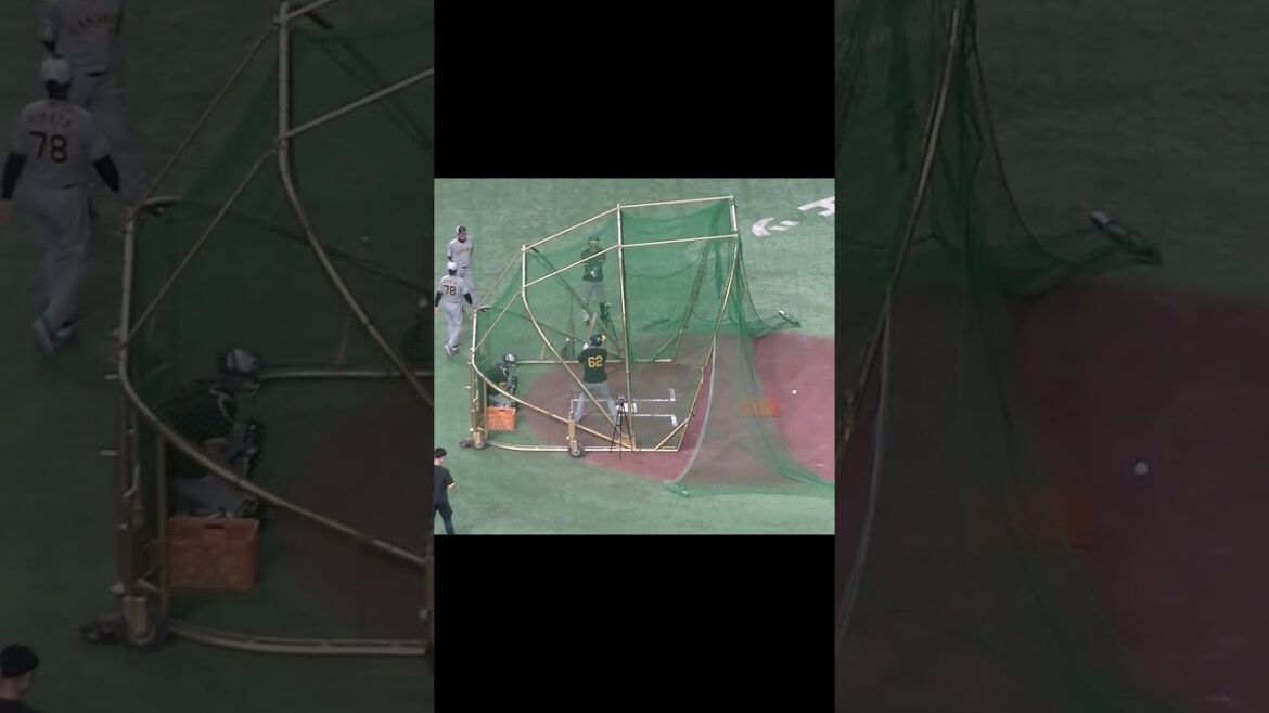 タイガース植田海のフリーバッティング（2024年7月16日読売ジャイアンツ対 阪神タイガース）