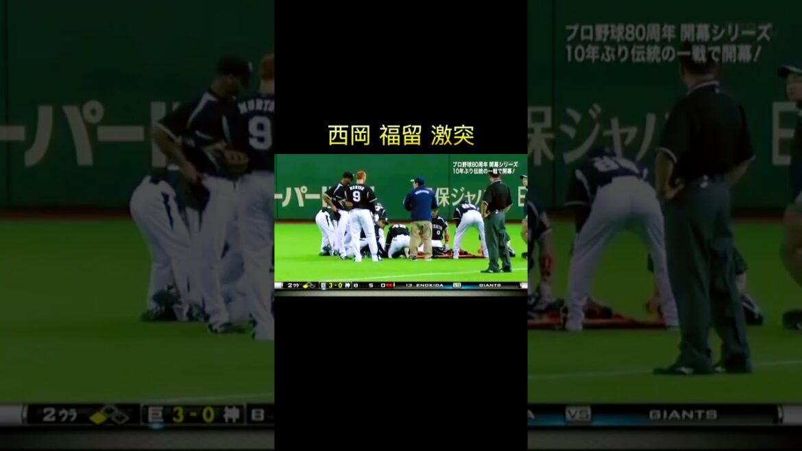 西岡剛 福留孝介 激突 #野球 #阪神タイガース #アクシデント