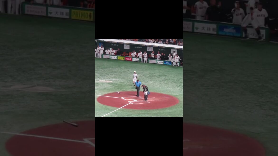 立岡宗一郎 当たり損ないもタイムリーとなって巨人ベンチ盛り上がる＜読売ジャイアンツ対 千葉ロッテマリーンズ2024年6月6日＞