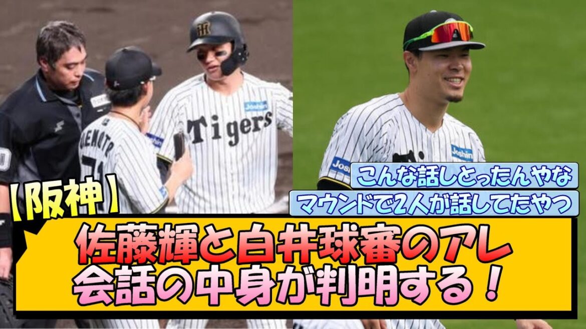 【阪神】佐藤輝と白井球審のアレ、会話の中身が判明する！