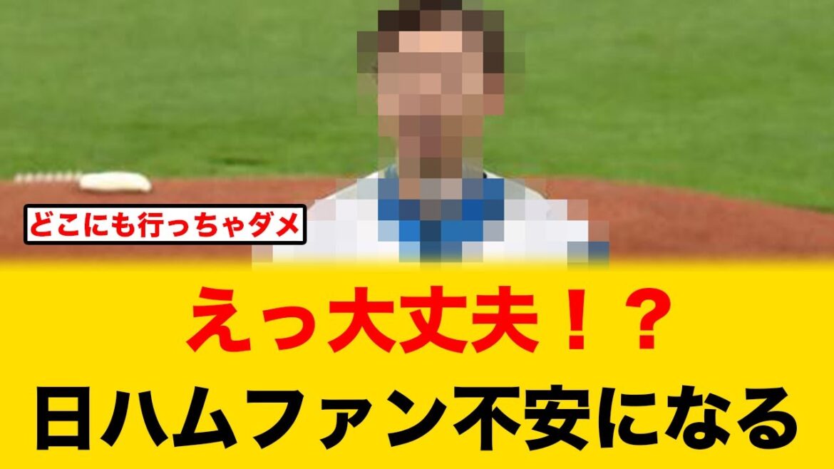 あの有能コーチが不在で、日ハムファン一気に不安になる【北海道日本ハムファイターズ】
